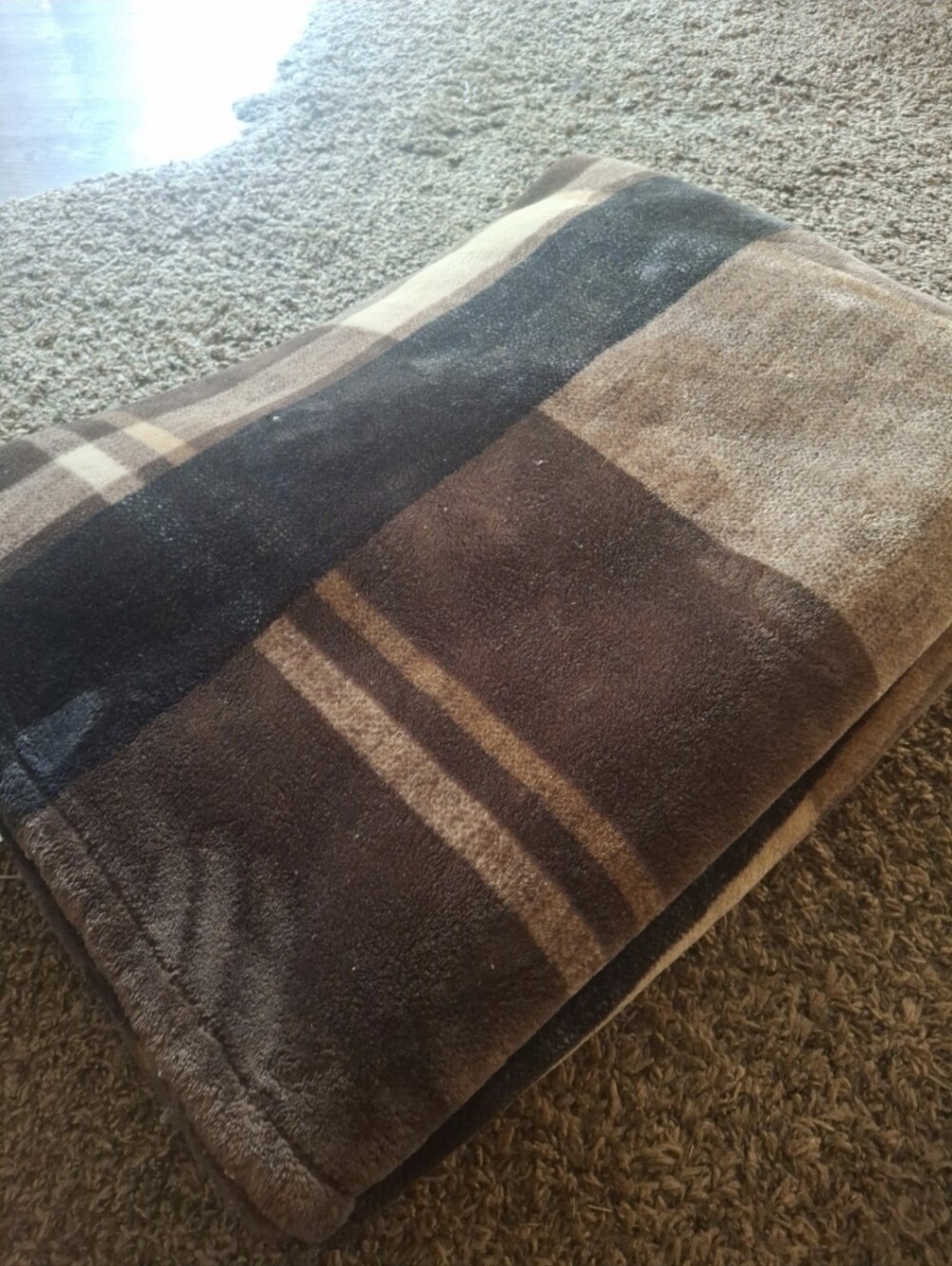 Ultra Plush Blanket